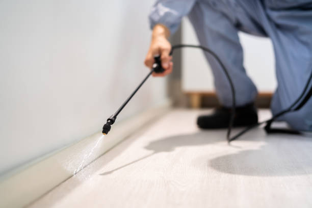 Bed Bug Pre-Treatment Preparation Assessment in Norton Center