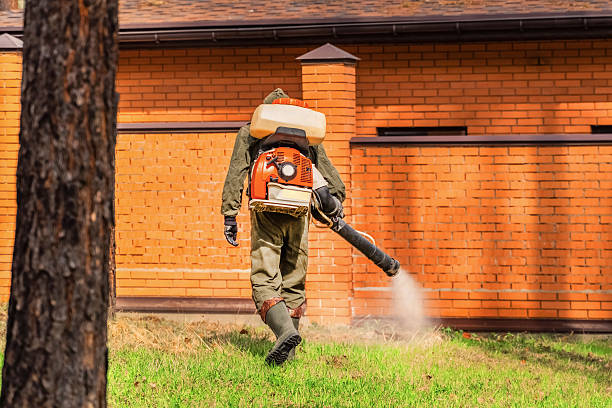 Bed Bug Clearance Verification and Documentation in Norton Center